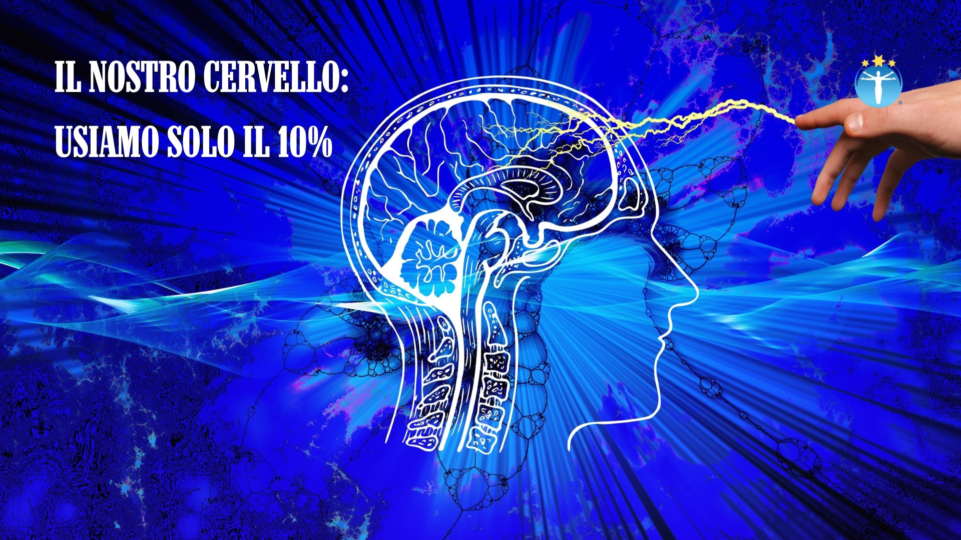 Il nostro cervello: Non usiamo il 10% e quello delle donne è più piccolo?