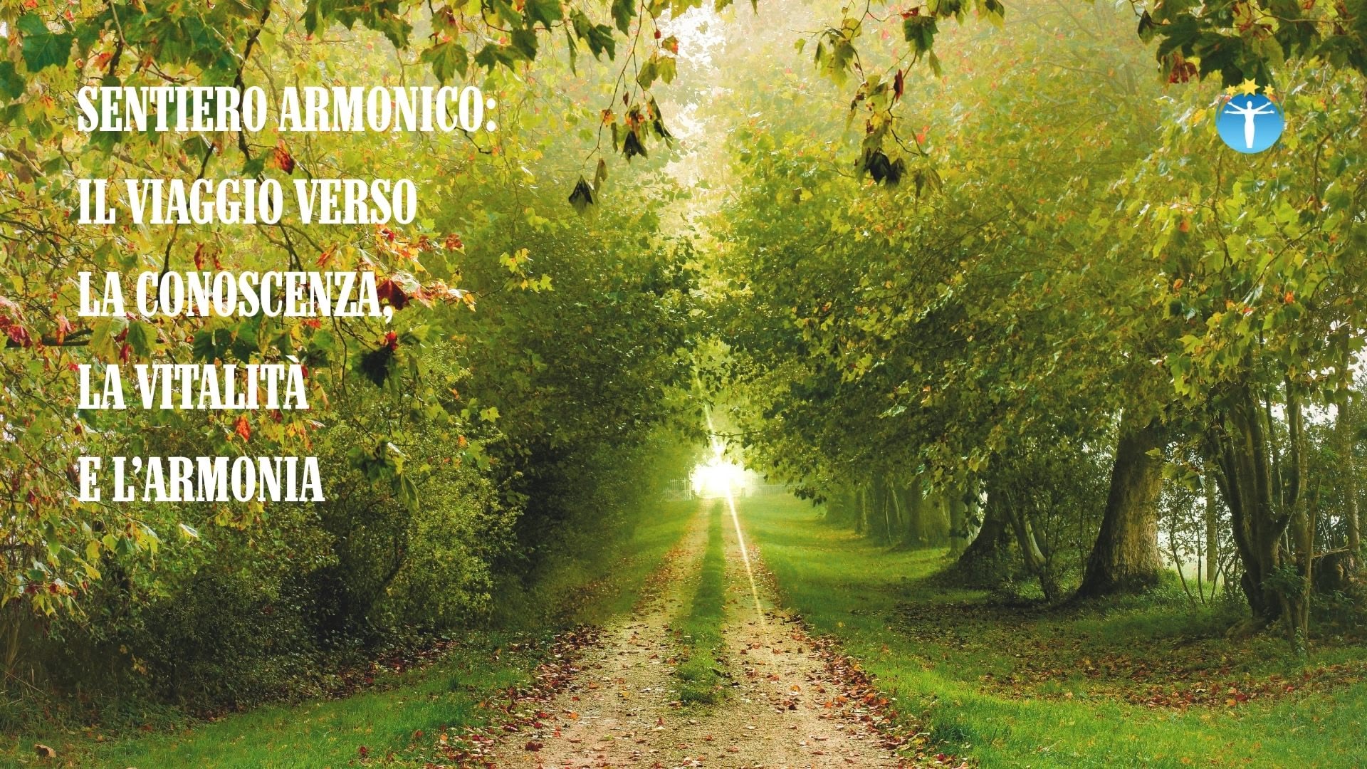 Sentiero Armonico – Il tuo viaggio verso l’equilibrio, la conoscenza e la vitalità