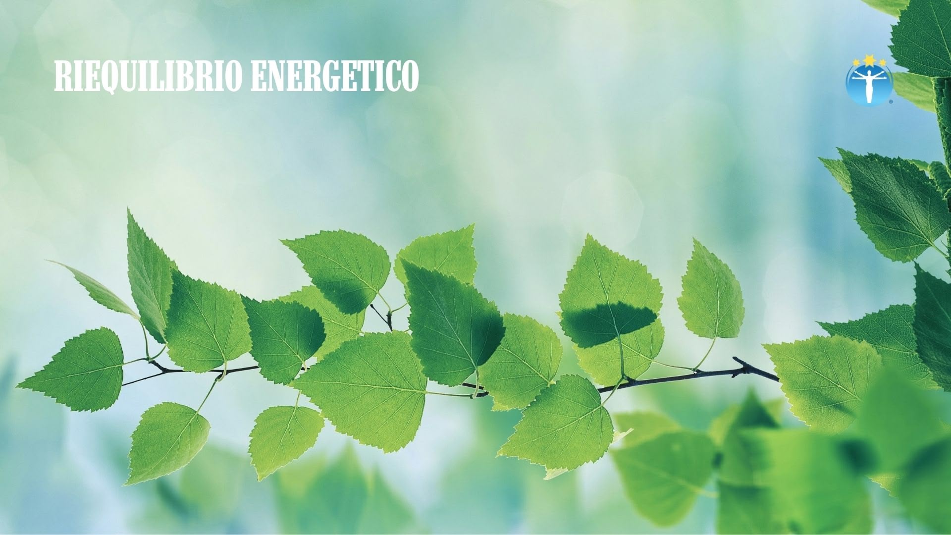 Riequilibrio Energetico: Ritrova il Benessere e l’Armonia Interiore